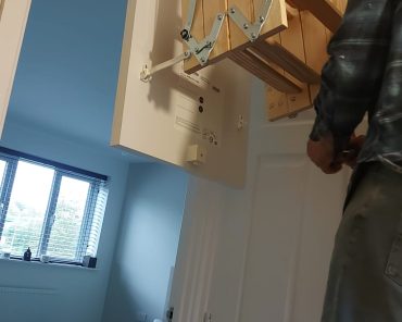 Stepping up: Why Werner’s Stowaway® Timber Loft Access Kit is a top choice for tight spaces